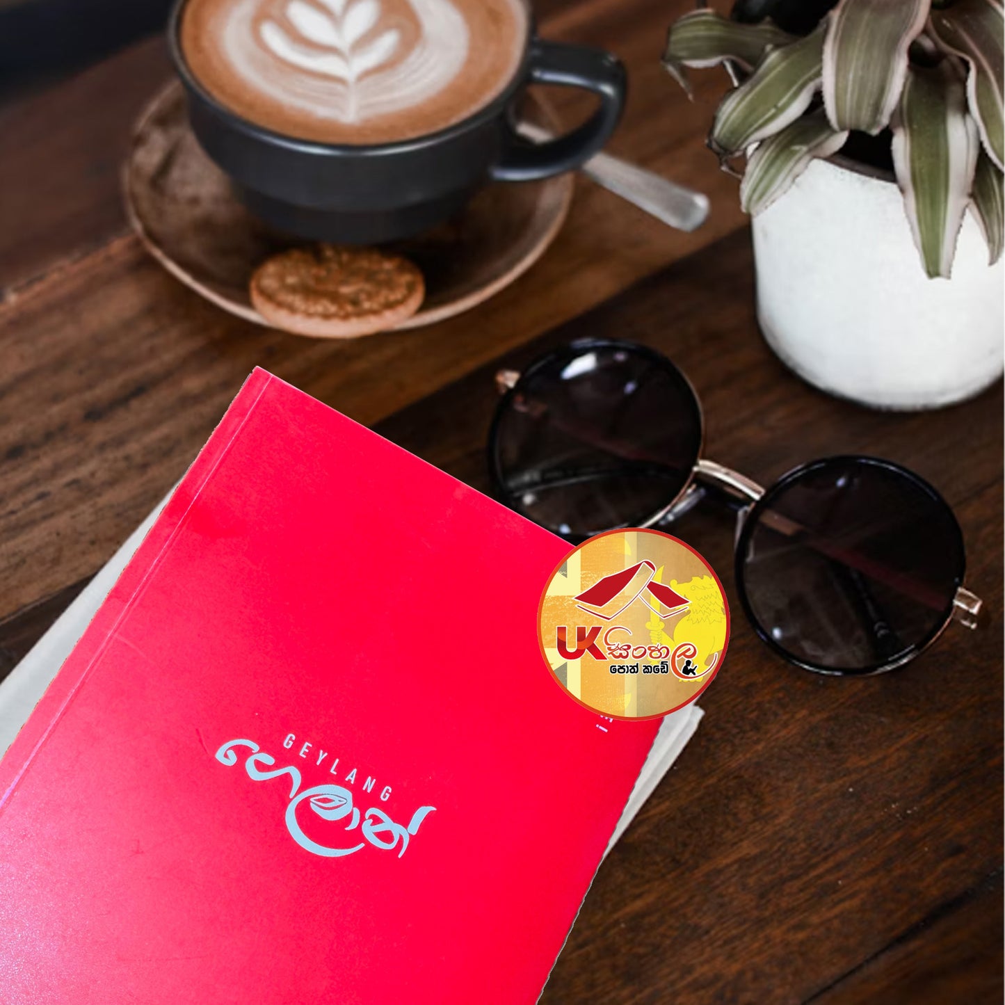 Geylang | ගෙලාන් by Anisha Jayakody