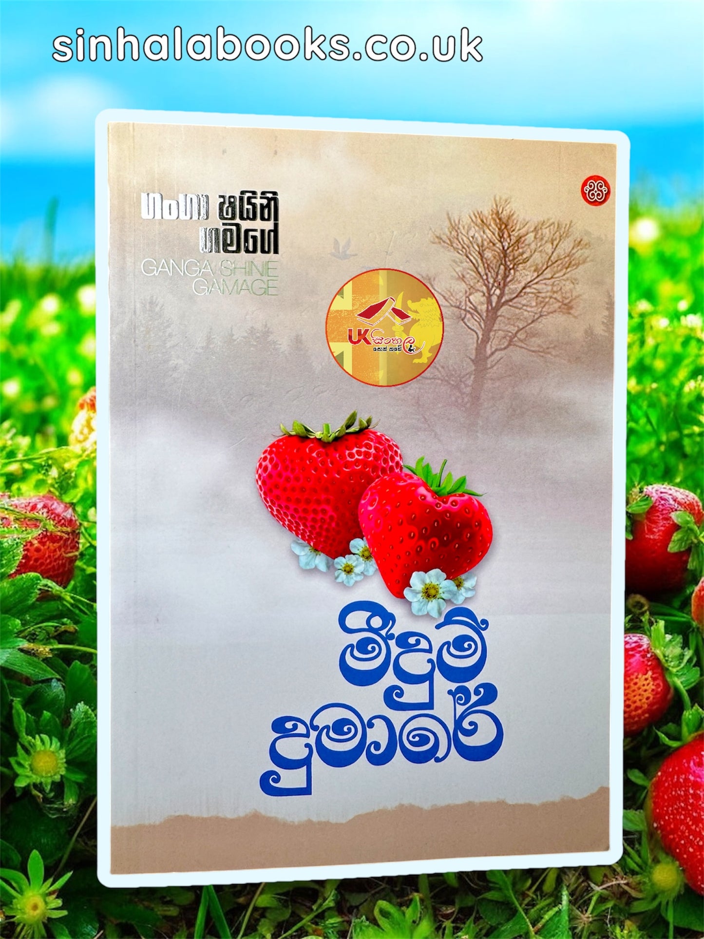 Meedum Dumare | මීදුම් දුමාරේ by Ganga Shayini Gamage