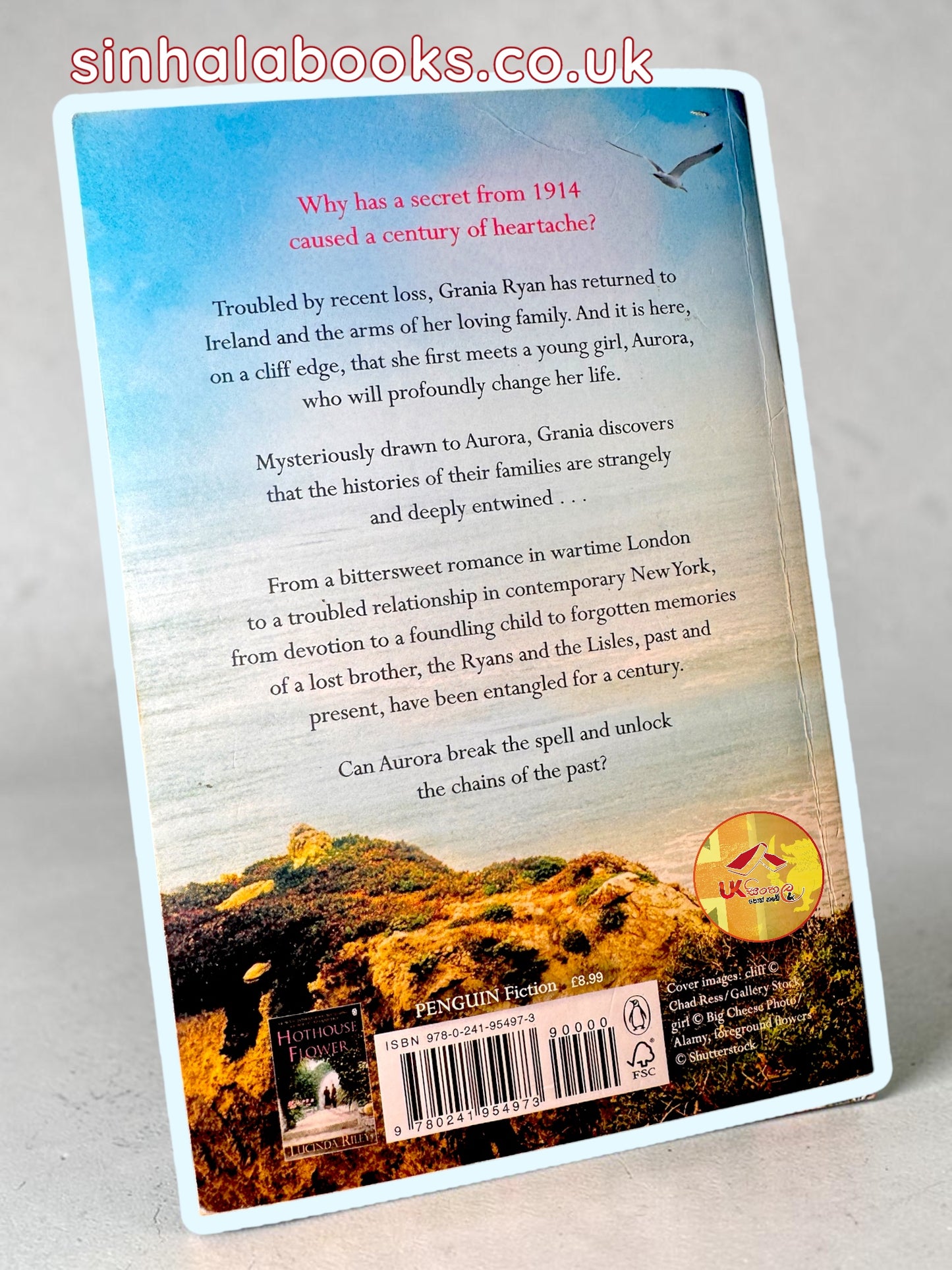 The Girl on the Cliff by Lucinda Riley (Used)
